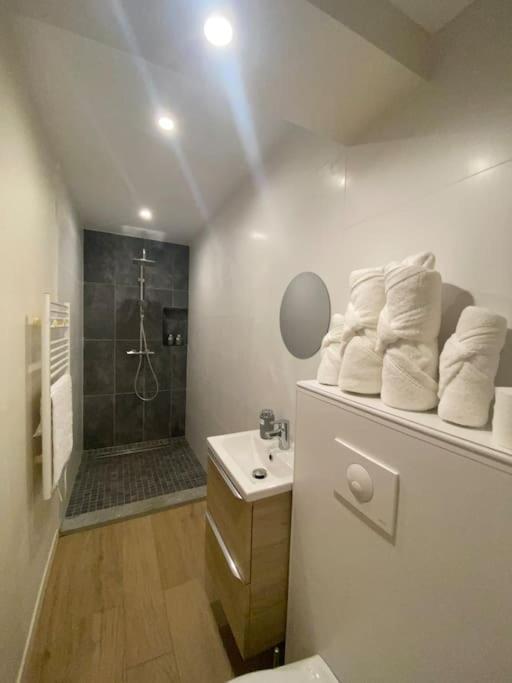 Appartement T2 Spacieux Et Equipe Mions Dış mekan fotoğraf
